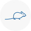 Mice Exterminators In Chatham